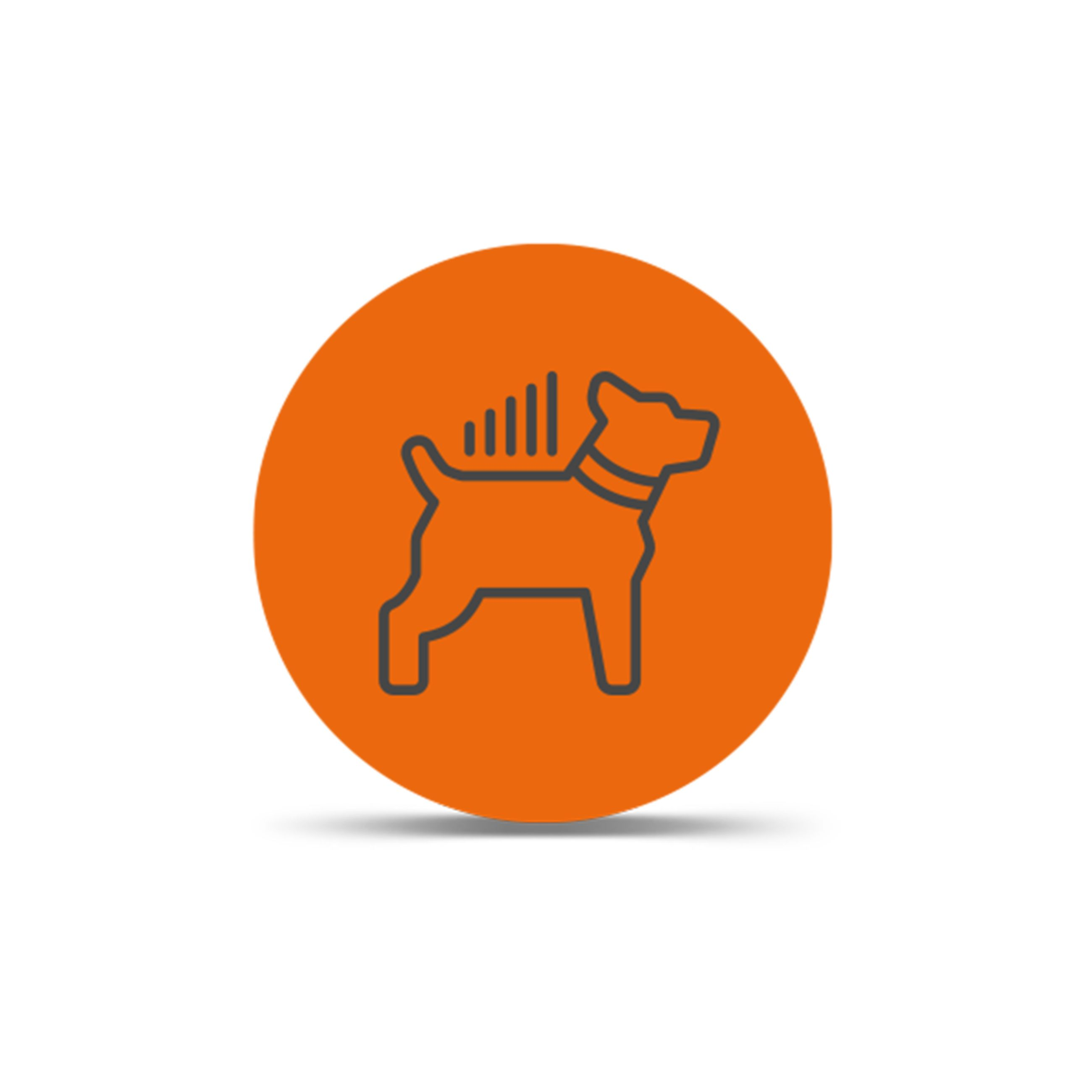 Lte Dog Tracking Subscription Plan | Garmin