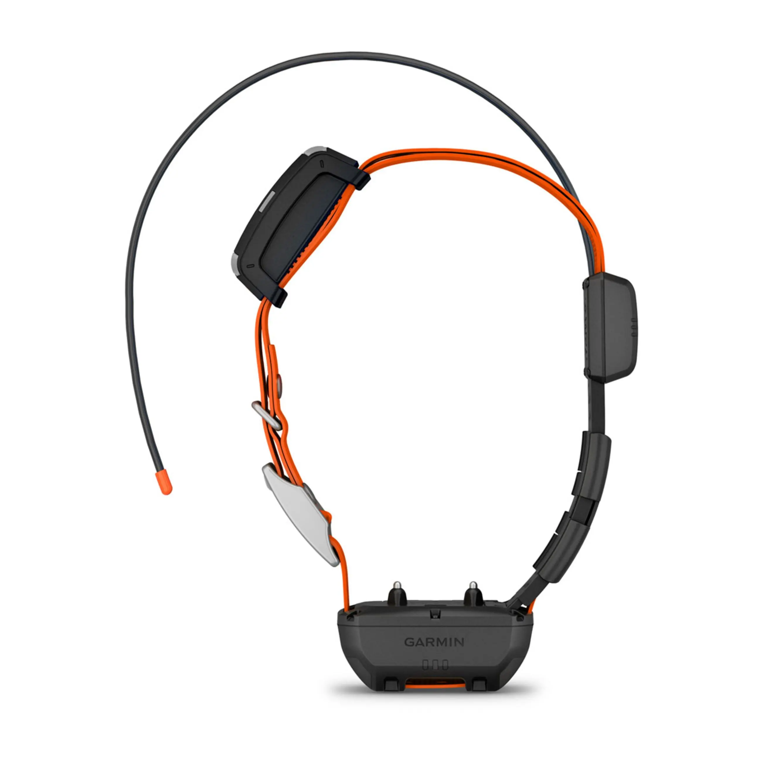 Garmin Alpha Tt 25 Dog Collar And Alpha Lte Dog Tracker